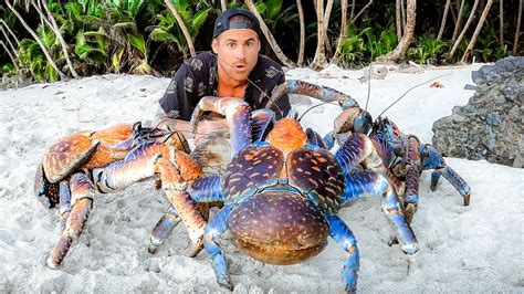 Exploring For Giant Coconut Crabs - Are They Man Eaters?