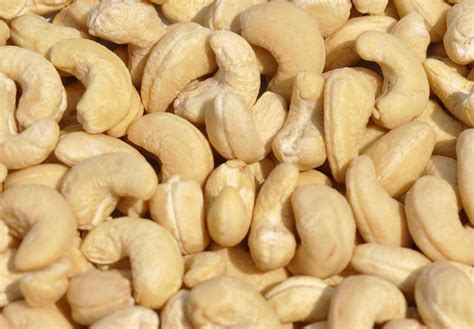 Why the Western province cashew nut project is ‘not so attractive ...