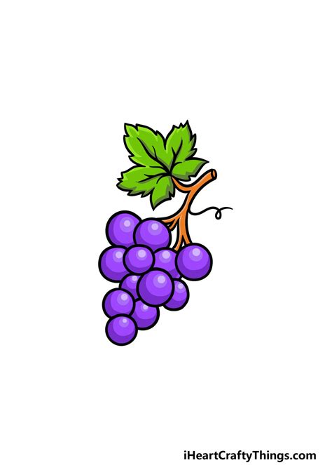 Grapes Drawing In Color