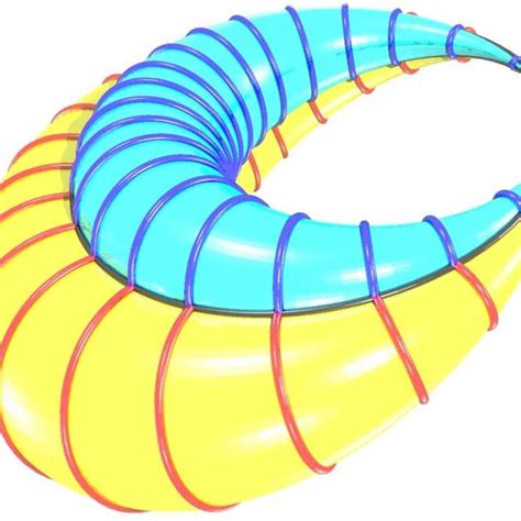 Left: Villarceau sections of a ring torus. Right: Congruence of surface ...