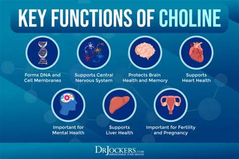 Choline: Signs of Deficiency, Benefits, and Food Sources - DrJockers.com