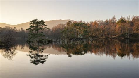 Beautiful Landscape Image of Tarn Hows in Lake District during ...