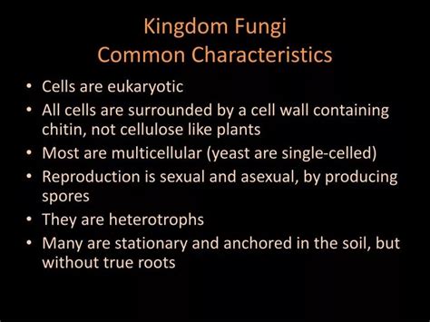 PPT - Kingdom Fungi Common Characteristics PowerPoint Presentation ...