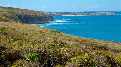 bells beach accommodation apartments - fordtransitvandimensions