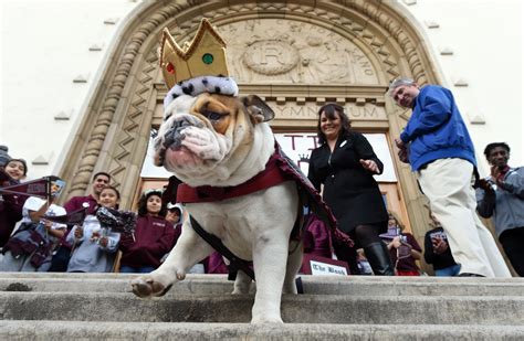 It’s official: Adelaide becomes University of Redlands’ first female ...