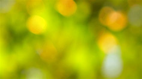 Nature Background 4K Blur : Blurred abstract bokeh with sun flare.