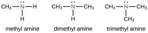 Amine Vs Amide Structure