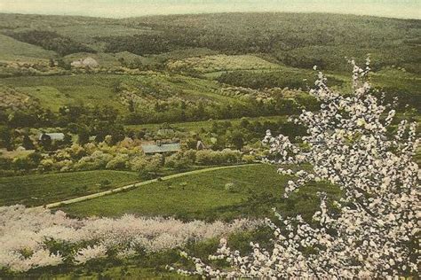 Apple Orchards in Bloom Annapolis Valley Nova Scotia Unused Vintage ...