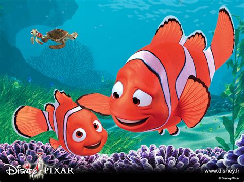 Download Gratis 95+ Gambar Ikan Finding Nemo Terbaik - Gambar