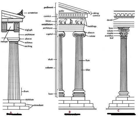 dimensions of columns on parthenon - Google Search | Architectural ...