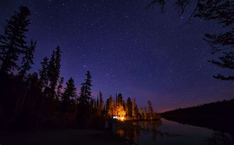 Pine Trees Under Starry Night Wallpaper,HD Nature Wallpapers,4k ...