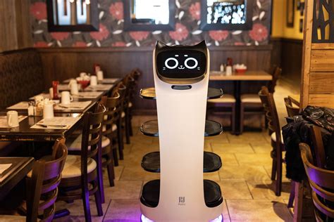 Un robot-serveur fait fureur au restaurant Le Matinée - Le Canada Français