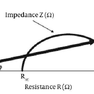 Phase angle from bioelectrical impedance. | Download Scientific Diagram