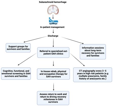 JVD | Free Full-Text | Neurocognitive Sequelae and Rehabilitation after ...