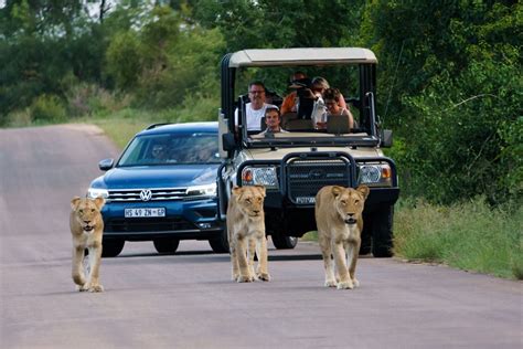 Self-Drive Safari in Kruger National Park | Zen Travellers