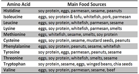 Essential Amino Acids Foods