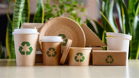 The Economics of Sustainable Packaging: Striking the Balance Between ...