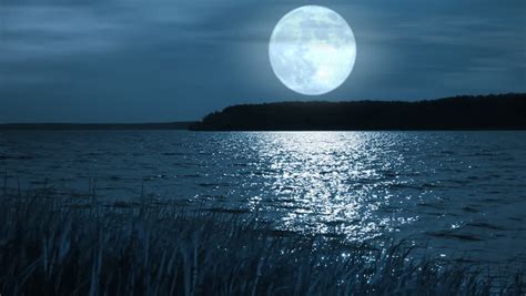 Night Full Moon Landscape. Stock Footage Video 4402889 | Shutterstock