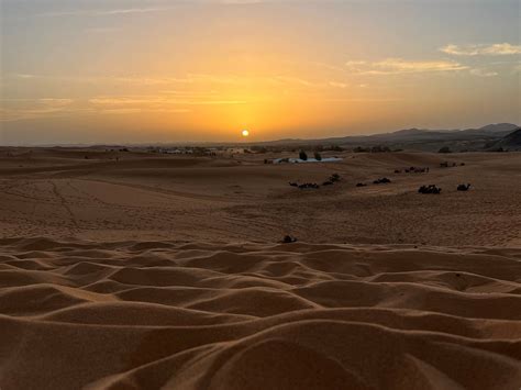 Sahara Tours Marruecos (Marrakech) - All You Need to Know BEFORE You Go