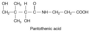 Pantothenic acid | Sources, Effects, & Structure | Britannica