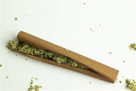 7 Facts You Didn't Know About Hemp Wraps | HempWraps