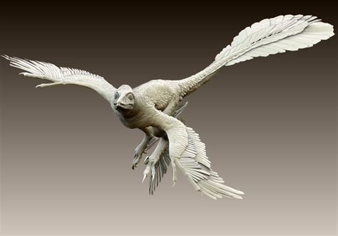 Microraptor 3d - putrafilm