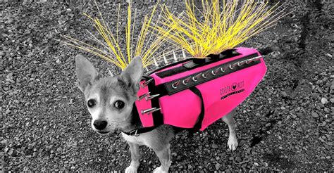 Meet the Dog With the Viral Spiky Coyote Vest - The Atlantic