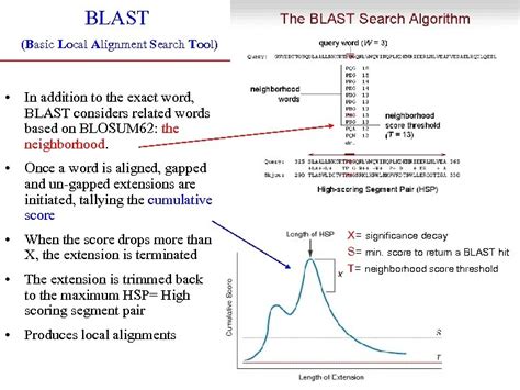 BLAST Basic Local Alignment Search Tool In