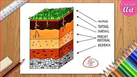 How to draw Layers of Soil diagram drawing || Soil profile poster chart ...