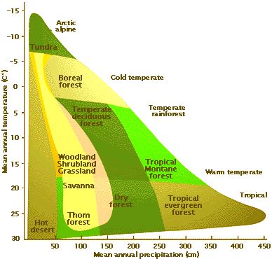 Desert Biome Climate