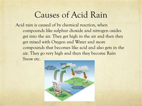 PPT - Acid Rain PowerPoint Presentation - ID:3172956