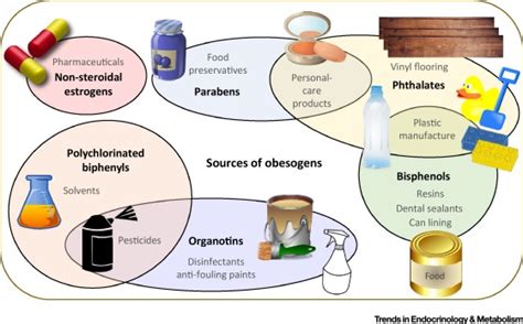 Obesogenic Endocrine Disrupting Chemicals: Identifying Knowledge Gaps ...