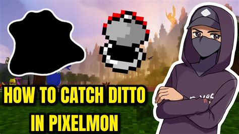 How to catch Ditto in Pixelmon - Guide - YouTube