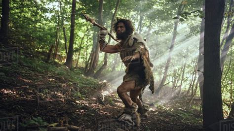 Primeval Caveman Wearing Animal Skin Holds Stone Tipped Spear Looks ...