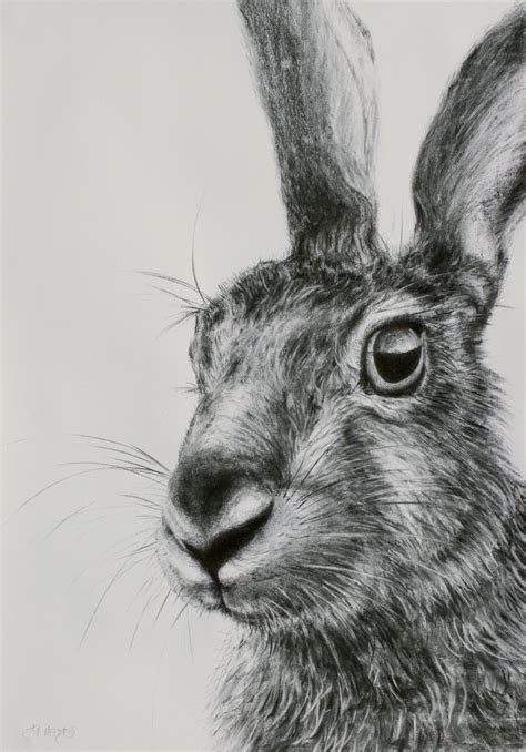 hare artwork | JM hare drawing 6 « Contemporary Art Gallery ...