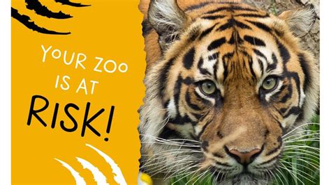 Run a virtual 5k or 10k to help save Edinburgh Zoo