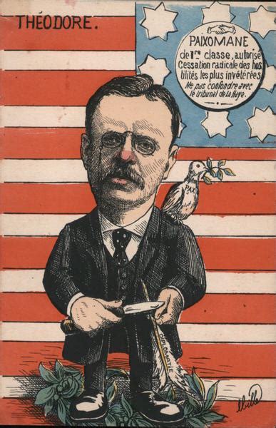 Political Cartoon of Teddy Roosevelt Theodore Roosevelt Ibille Postcard