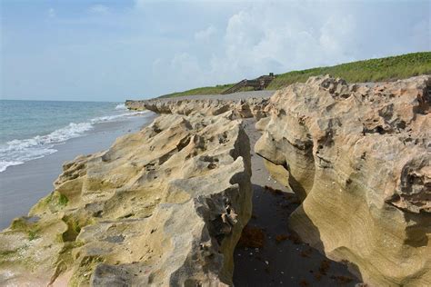 Blowing Rocks Preserve | Florida travel, Places to go, Palm beach county