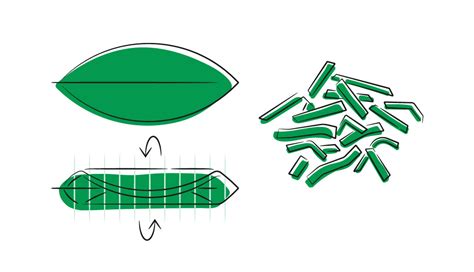 Creating a Chiffonade Cut – CHEF iQ