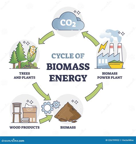 Biomass Energy For Kids