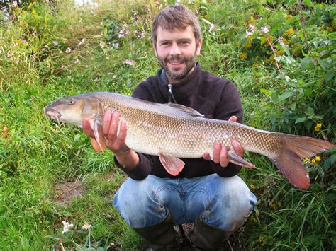 Fishy Business, an angler's journal.: September Barbel