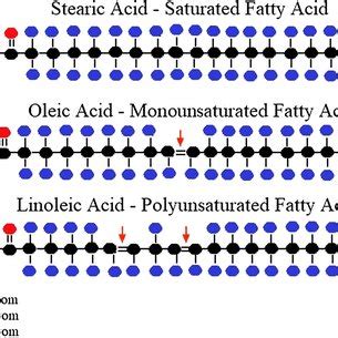 A schematic overview of the fatty acid desaturation mechanism ...