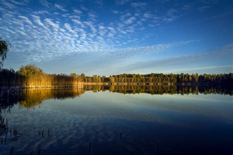 Nature of Belarus | President - for Children | Official Internet Portal ...