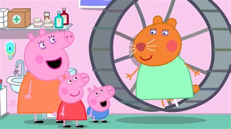 Doctor Hamster's New Hamster Wheel 🐹 | Peppa Pig Official Full Episodes ...