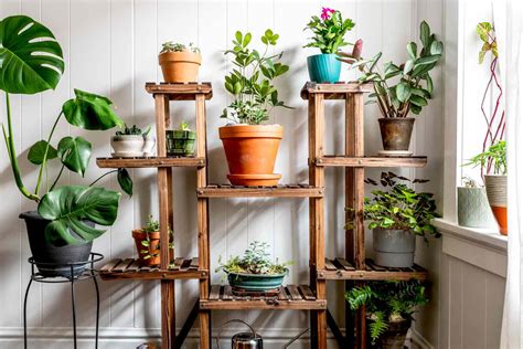 Indoor Gardening Systems: Endless Plant Possibilities