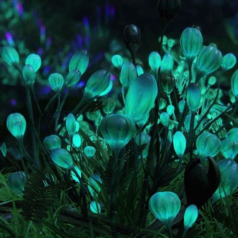 Bio-Lumineszenzblumen und -pflanzen ..., #lumineszenzblumen #pflanzen ...