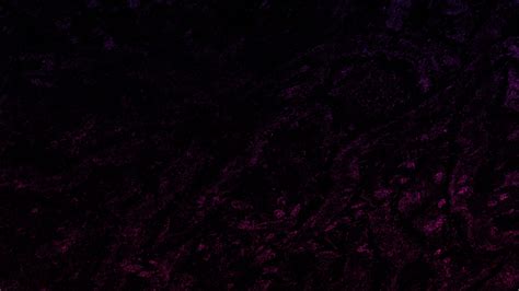 purple-black-texture-background - PixaHive