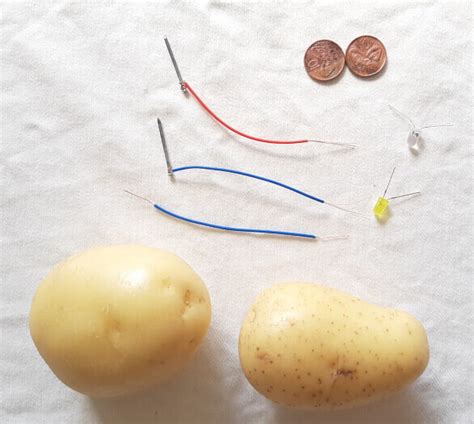 How To Make A Light Bulb Turn On With Potato | Homeminimalisite.com