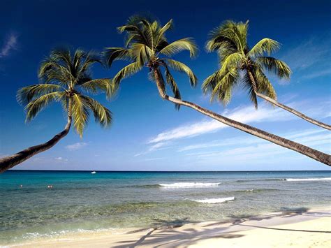 Free Caribbean Beach Wallpapers - Wallpaper Cave