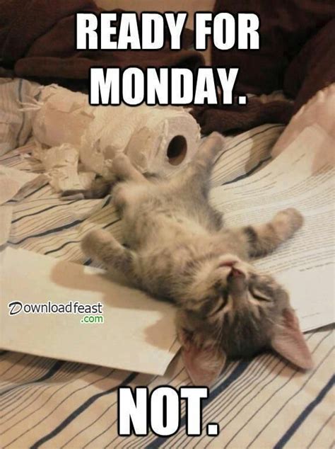 25 'Happy Monday' Memes to Make This Dreaded Day Extra Funny | Work + Money